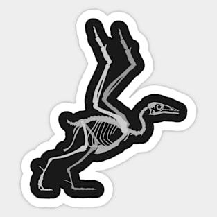 Yanornis Skeletal Sticker